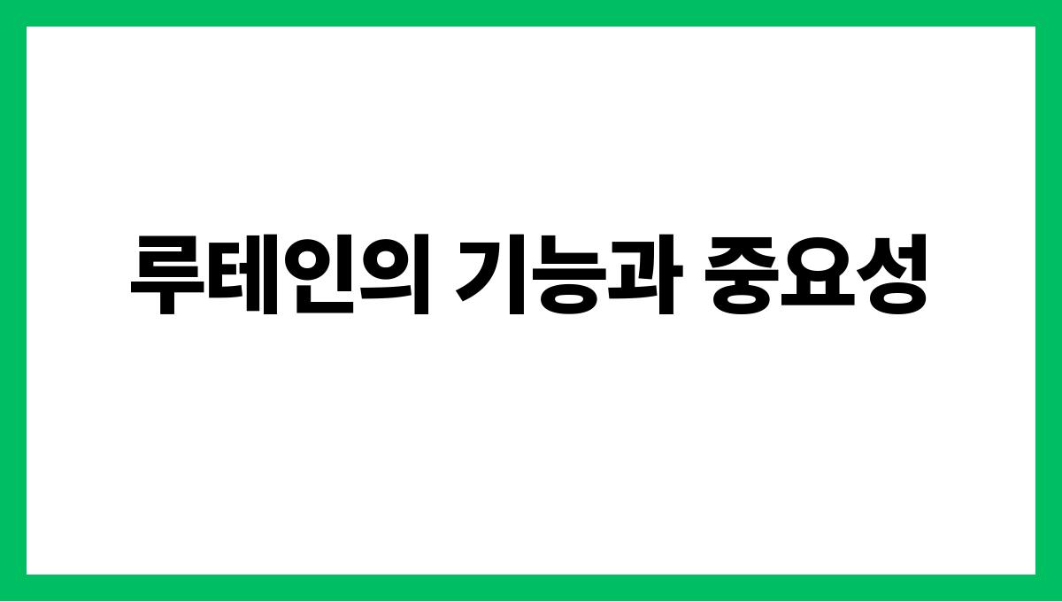 케일 루테인 루테인의 기능과 중요성