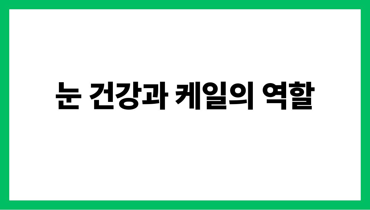 케일 루테인 눈 건강과 케일의 역할