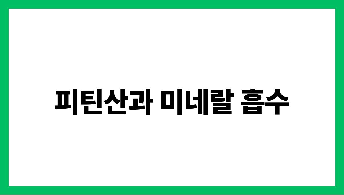 현미 피틴산 피틴산과 미네랄 