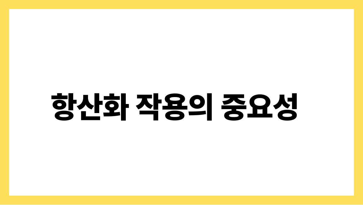 브로콜리 설포라판 항산화 작용의 중요성