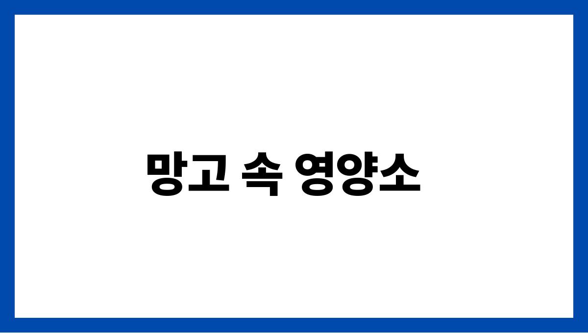 망고 비타민A 망고 속 영양소