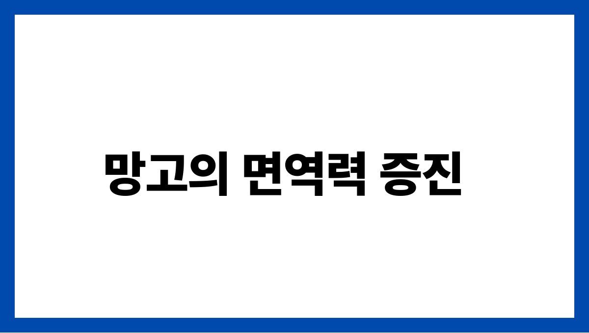 망고 비타민A 망고의 면역력 증진