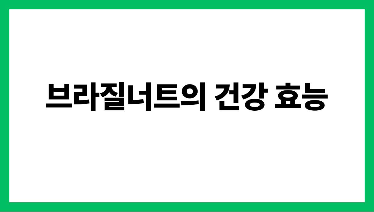 브라질너트 셀레늄 브라질너트의 건강 효능