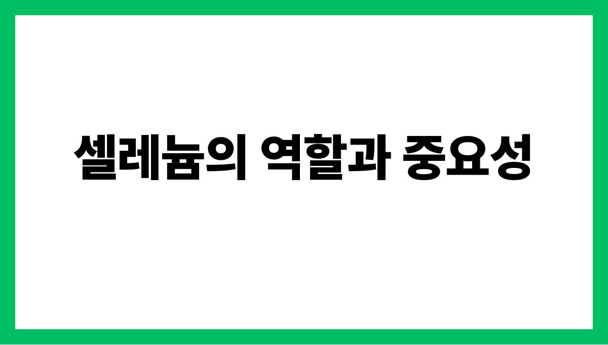 브라질너트 셀레늄 셀레늄의 역할과 중요성