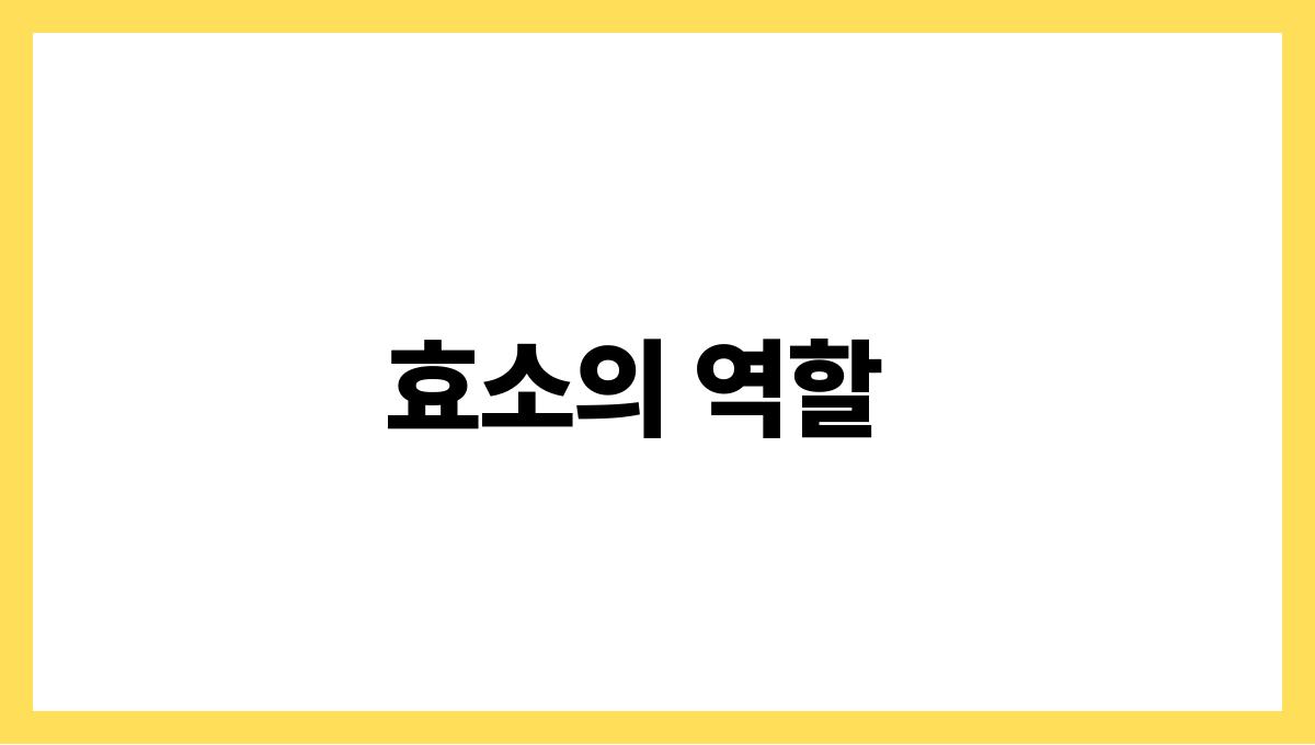 파인애플 브로멜린 효소의 역할