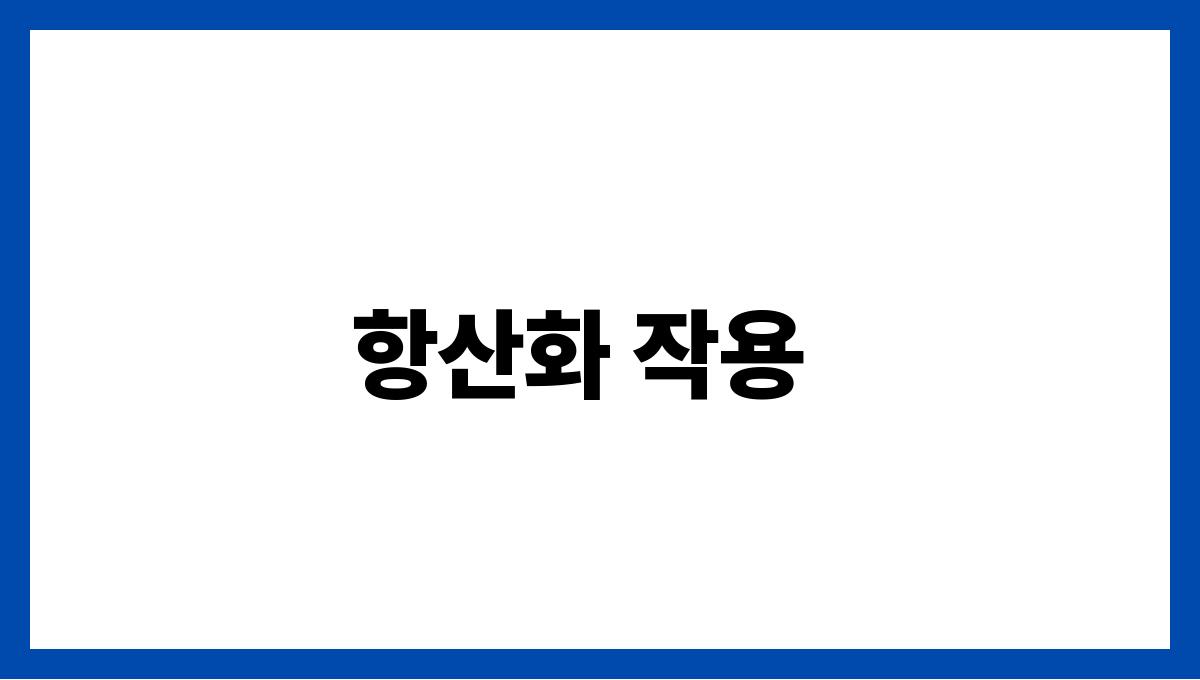 석류 폴리페놀 항산화 작용