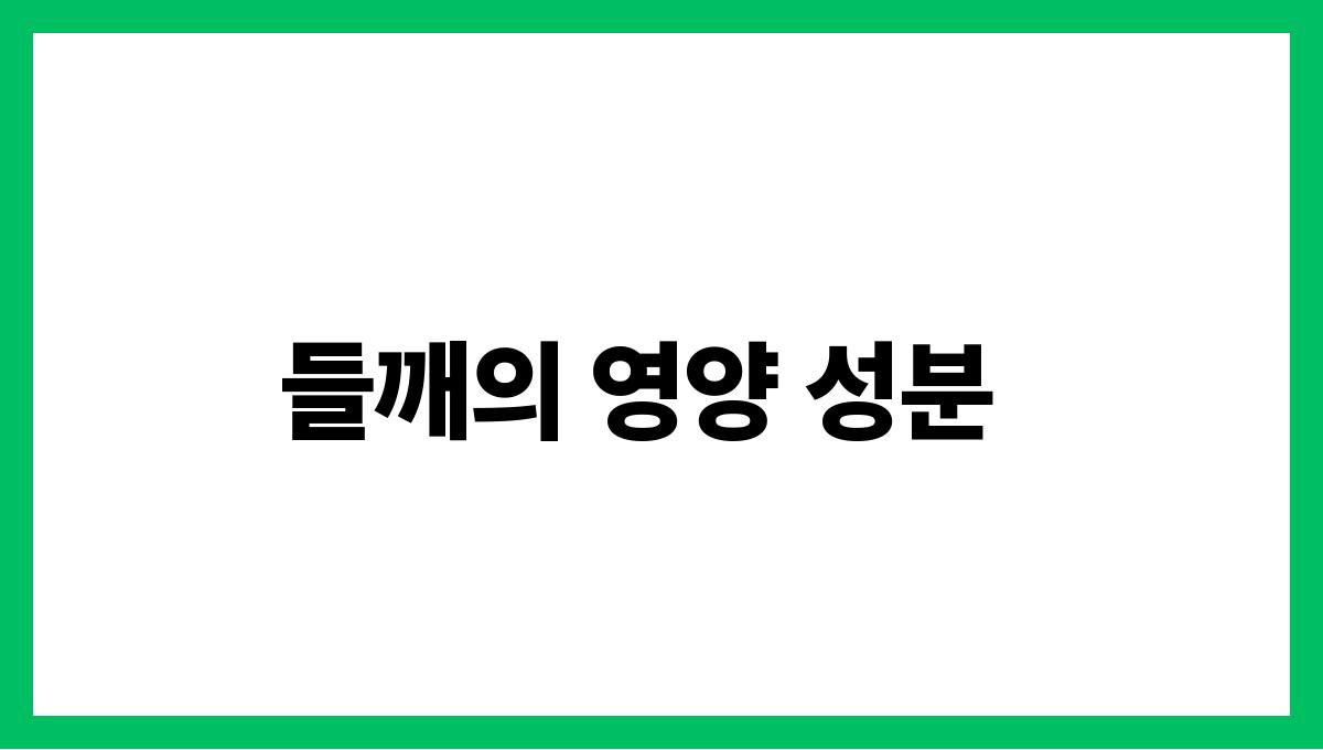 들깨 오메가-3 들깨의 영양 성분