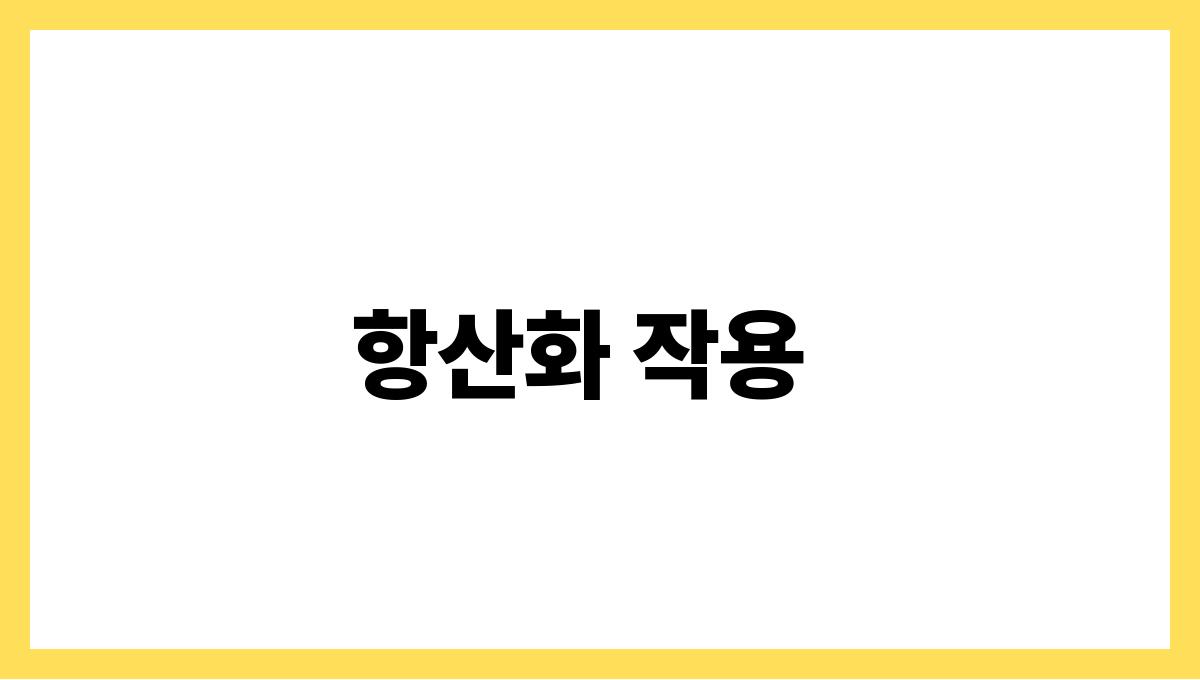 양배추 설포라판 항산화 작용