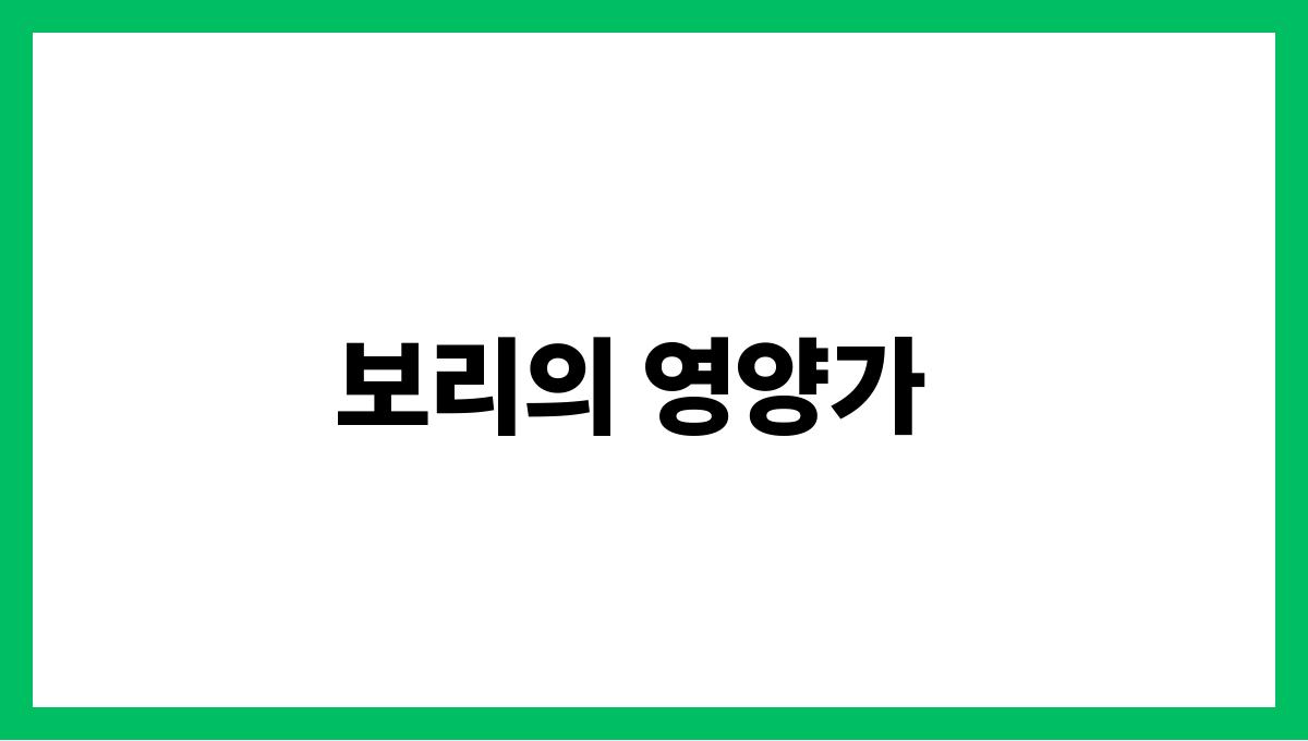 보리 베타글루칸 보리의 영양가