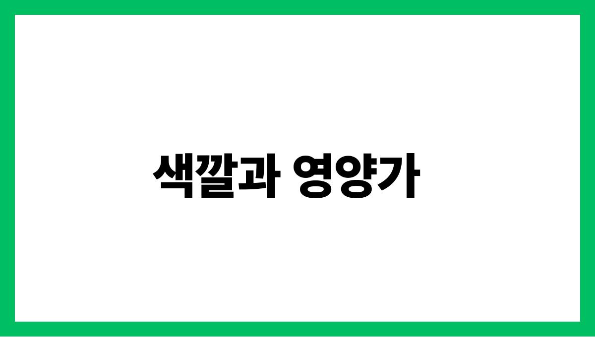 피망 비타민C 색깔과 영양가