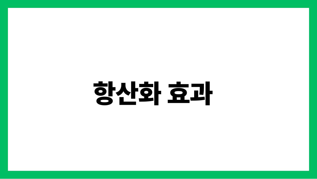 피망 비타민C 항산화 효과