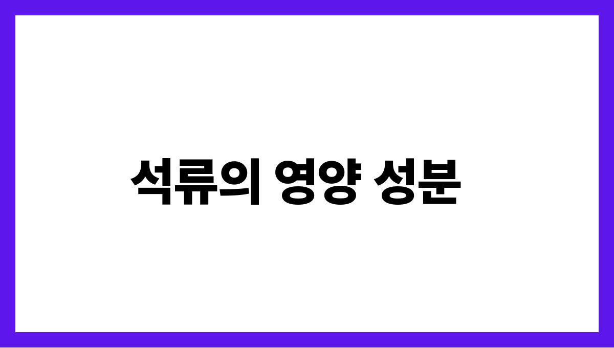 석류 엘라직산 석류의 영양 성분