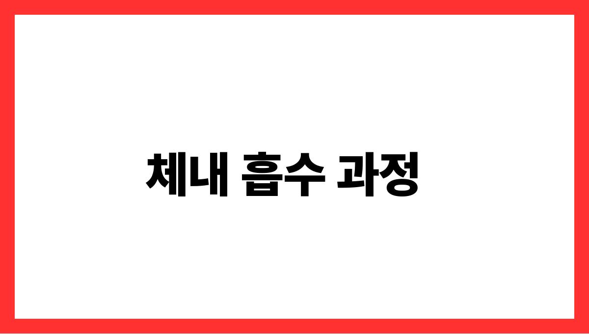 토마토 라이코펜 체내 흡수 과정