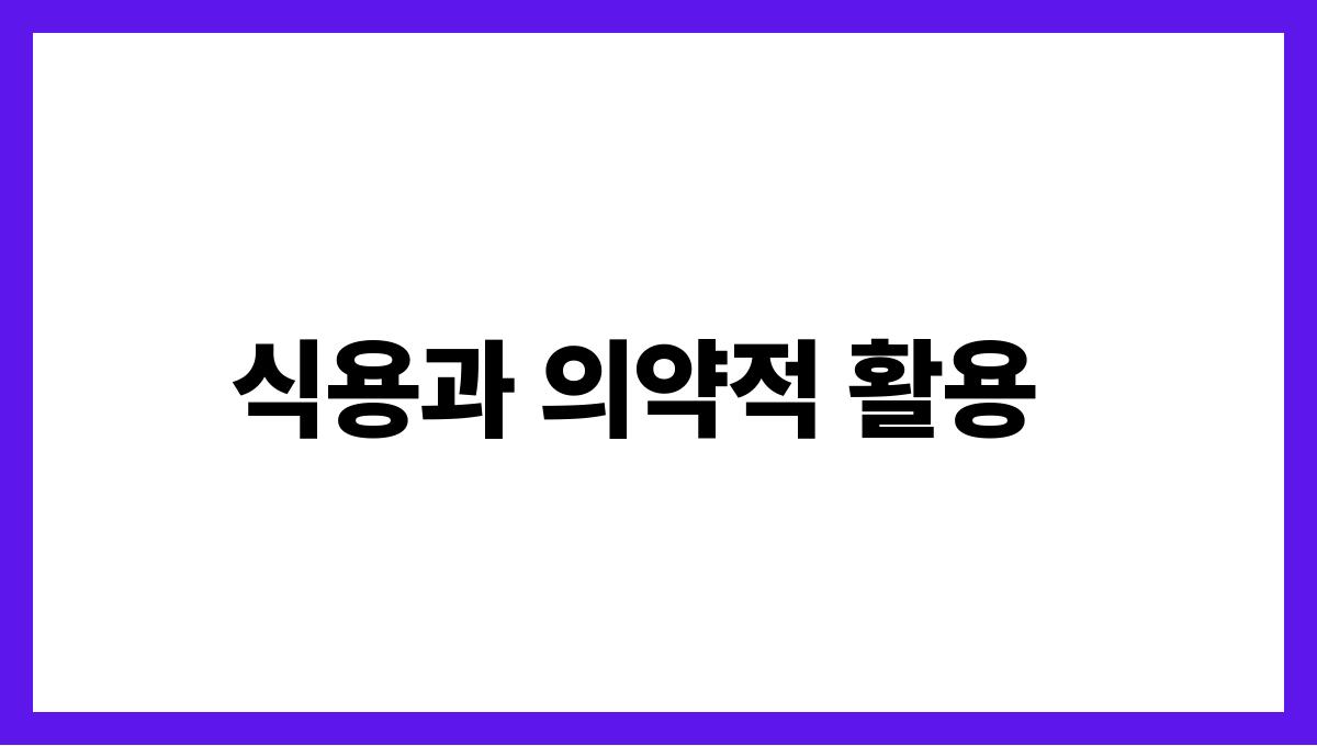 마늘 알리신 식용과 의약적 활용