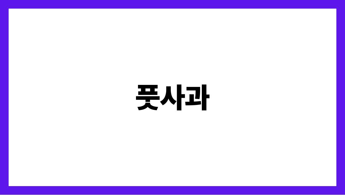 풋사과