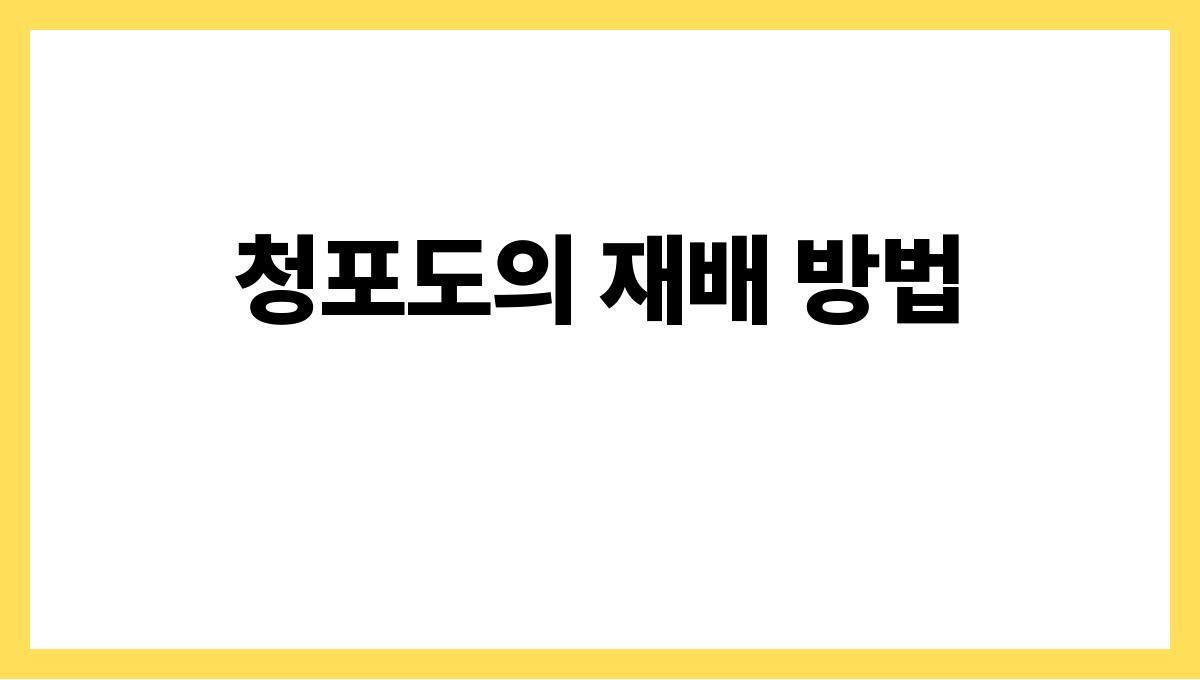 청포도 청포도의 재배 방법