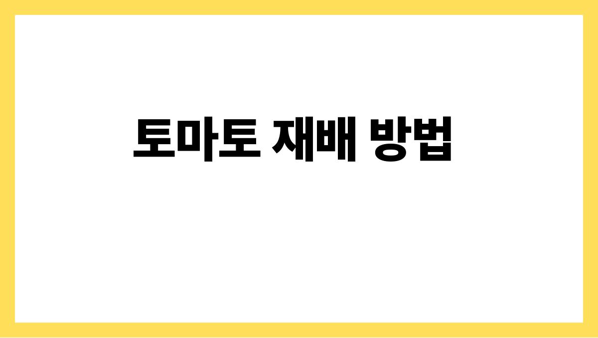 토마토 토마토 재배 방법